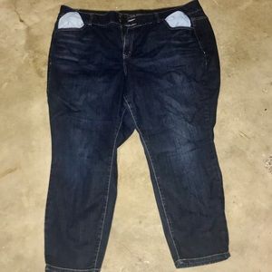 Lane Bryant High Rise Skinny Short Jeans Size 26